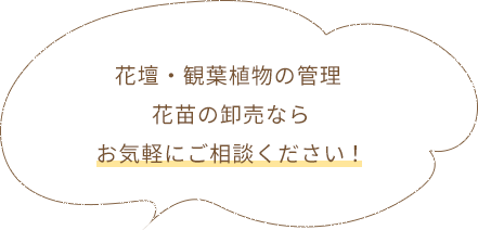 花壇・観葉植物の管理花苗の卸売ならお気軽にご相談ください！