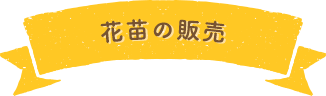 花苗の販売