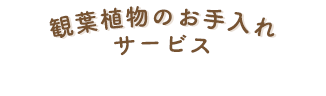 観葉植物のお手入れサービス