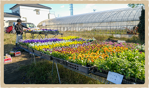 野菜直売について