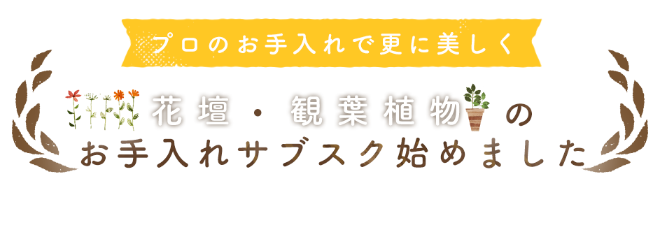 プロのお手入れで更に美しく 花壇・観葉植物のお手入れサブスク始めました