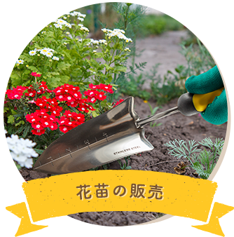 花苗の販売