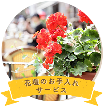 花壇のお手入れサービス