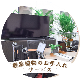観葉植物のお手入れサービス